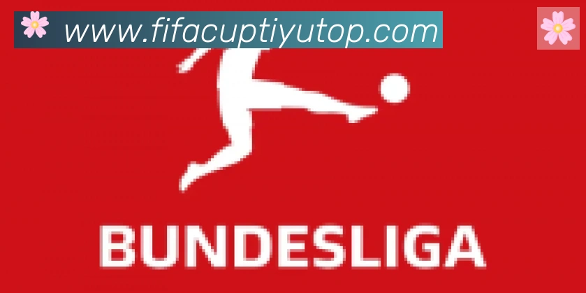 FIFA世界杯赛事官方网站合作伙伴